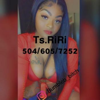 5046057252, transgender escort, New Orleans